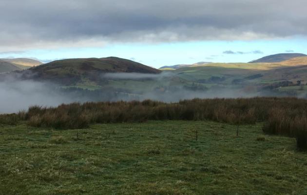 near Tarras Valley Nature reserve